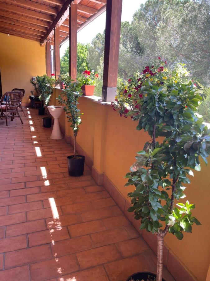 Готель La Terrazza Dei Ciliegi Санта-Марія-дельї-Анджелі Екстер'єр фото