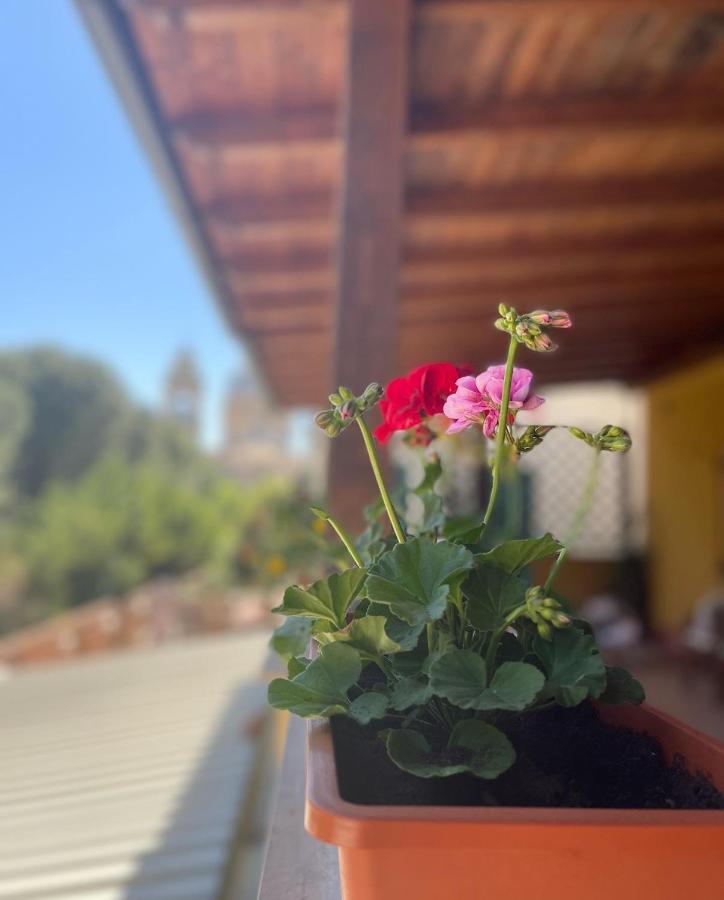 Готель La Terrazza Dei Ciliegi Санта-Марія-дельї-Анджелі Екстер'єр фото
